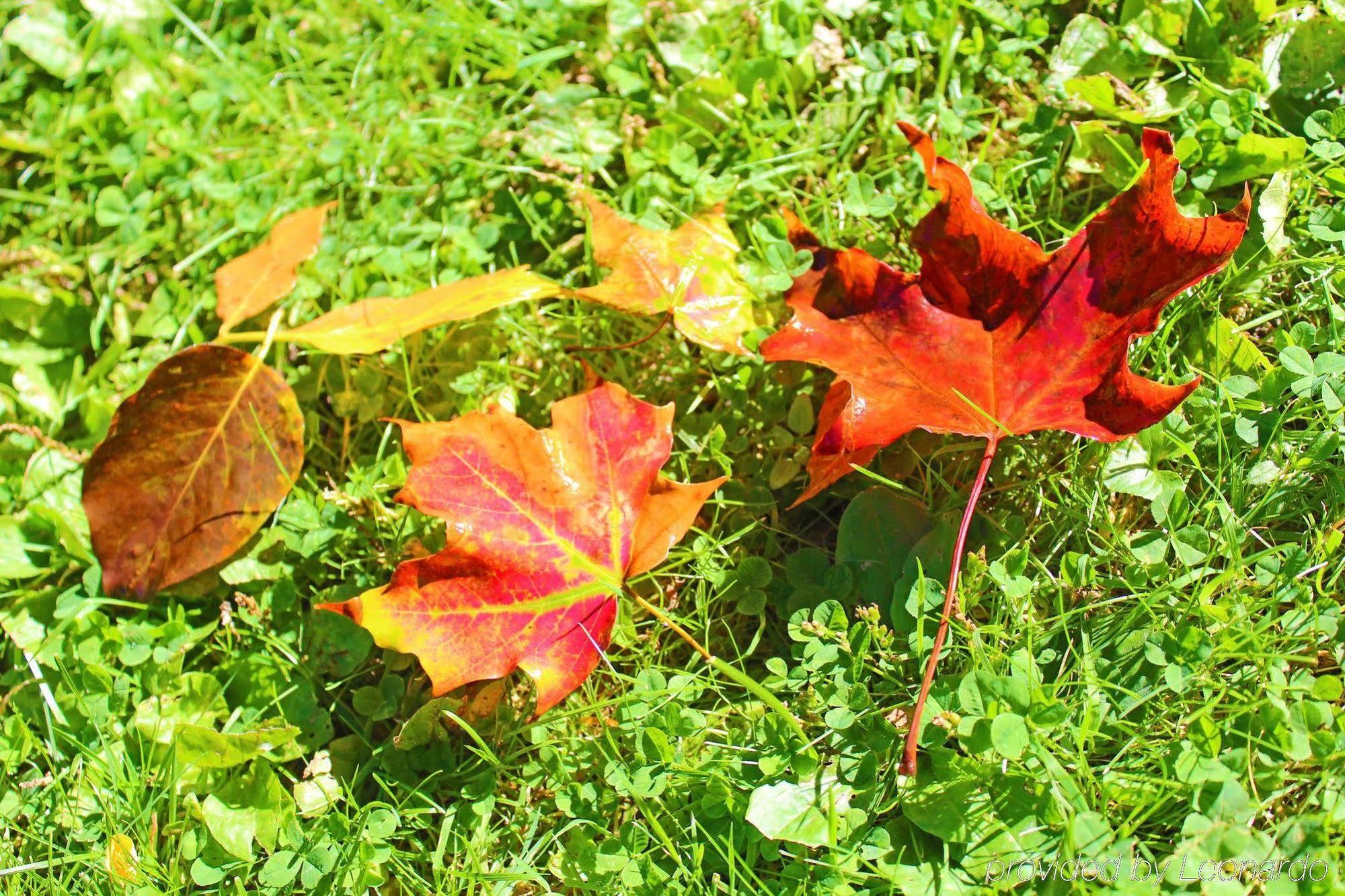 Heart Of The Village Bed & Breakfast In Shelburne Vt Exterior foto